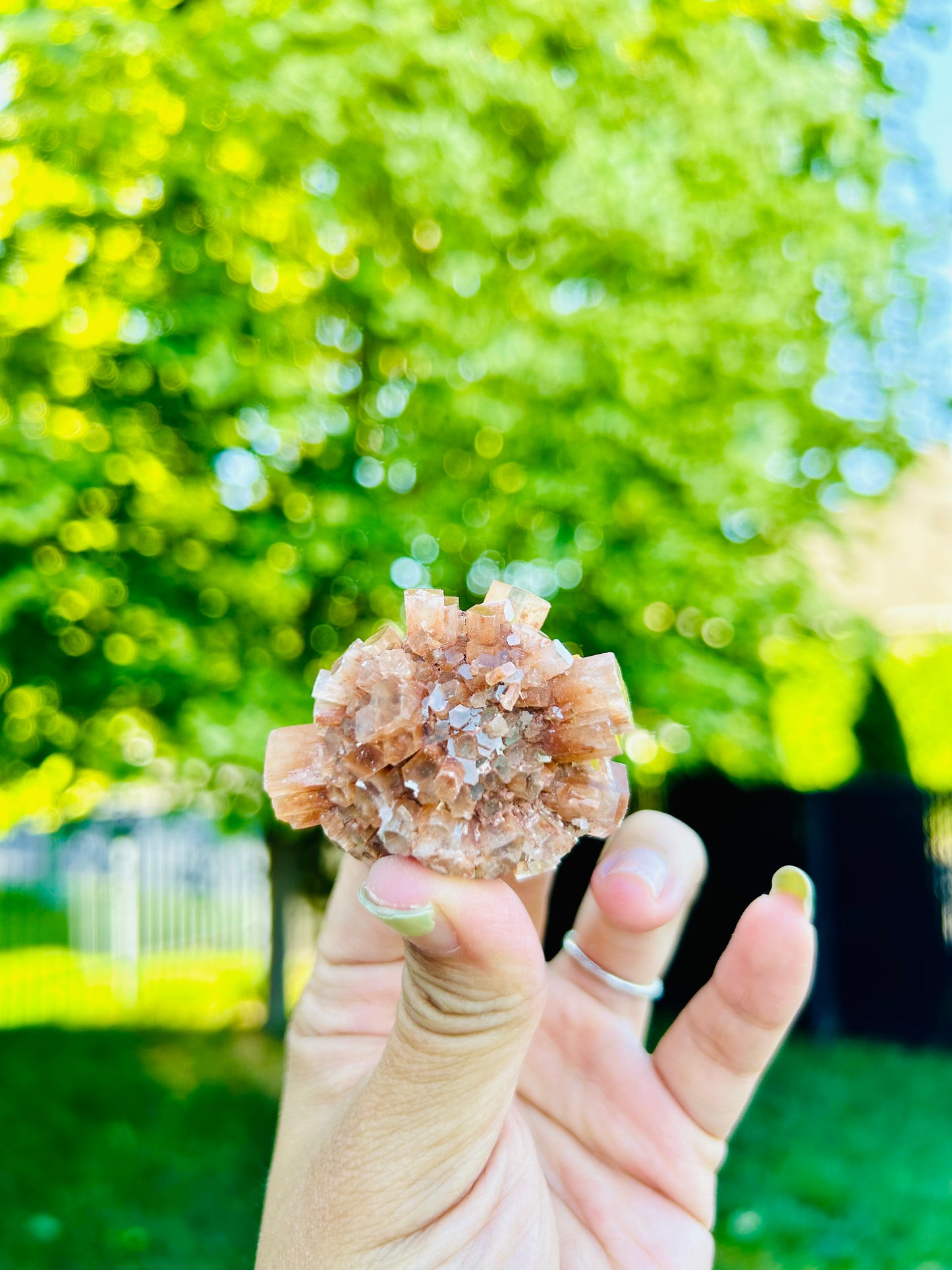 Aragonite — Bou Azer, Morocco