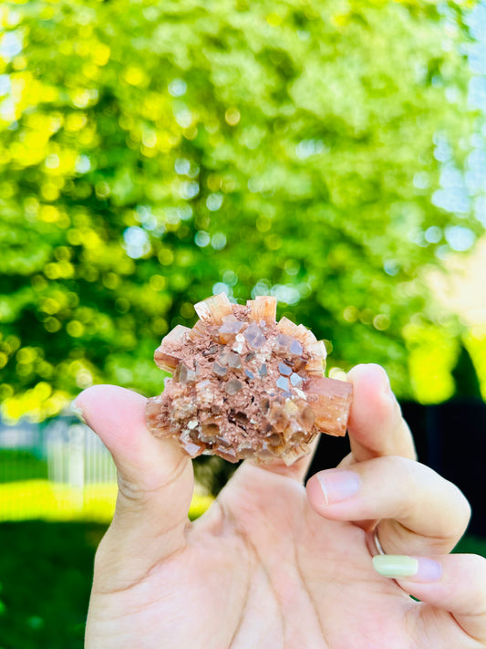 Aragonite — Bou Azer, Morocco